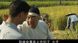 福贵电视剧简介介绍 图3