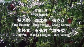 華子良 圖8