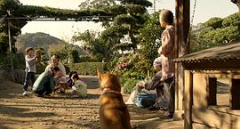 日本关于流浪狗的电影 图4