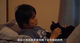 為什么貓都叫不來 圖5