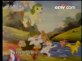 小馬駒 圖2
