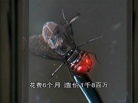 糊涂侦探美国2008免费观看 图8