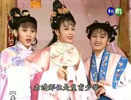 皇甫少華與孟麗君 圖5
