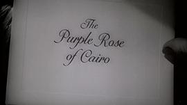 开罗紫玫瑰 图2