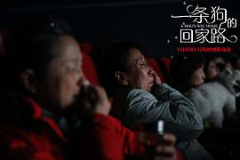 一條狗的回家路 圖6