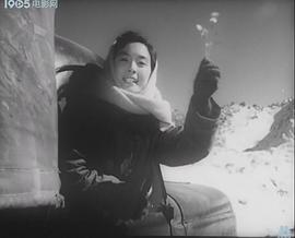 昆侖山上一棵草 圖10