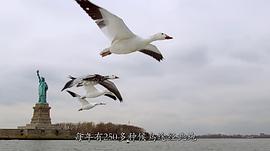 鳥瞰地球 圖10