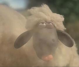 小羊肖恩动画片全集免费观看 图2