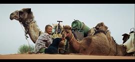 沙漠大战鸵鸟电影免费观看 图5