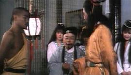 1976功夫斗鸡电影 图9