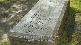 與萬物合一是什么意思 圖4