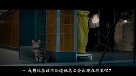 無名女尸 圖2