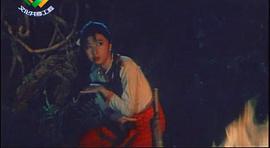 綠色的網(wǎng) 圖7