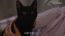 金宵大廈 圖7