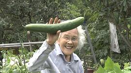 人生果實解說 圖8