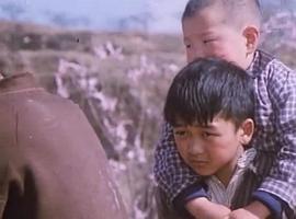笨人王老大 圖4