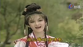 風(fēng)箏 圖8
