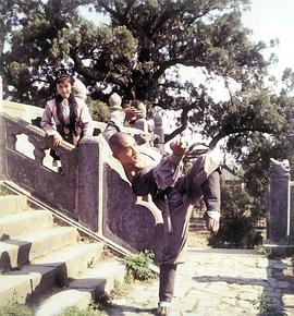 少林寺电影1982李连杰 图2