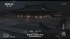 40集电视连续剧大明宫词 图3