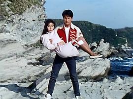 鳥人戰(zhàn)隊噴射人 圖7
