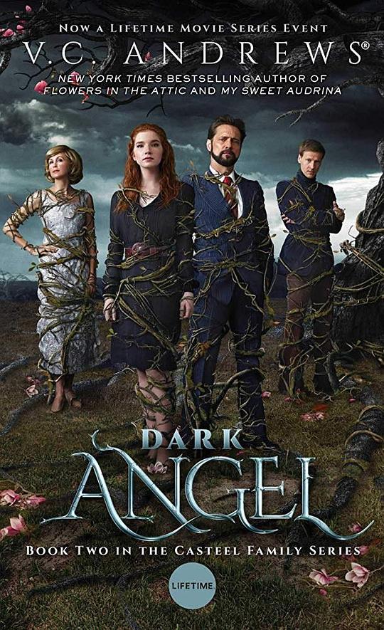 暗黑天使第一季第二集剧情