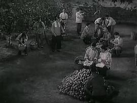 朝阳沟老电影1963全剧彩色版 图10