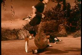 杜鵑山 圖7