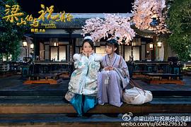 梁山伯與祝英臺(tái)新傳 圖9