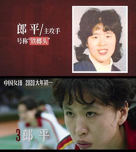 夺冠中国女排电影高清完整版免费 图1