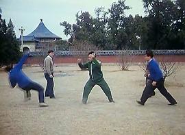 中華武術(shù) 圖6