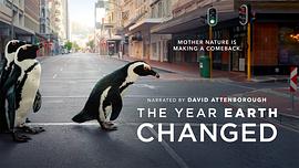 地球改变的一年纪录片观后感 图9