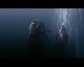 巨大鲸奇 图8
