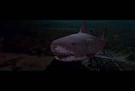 大白鲨电影免费观看完整版国语 图2