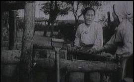 鮮花盛開的村莊 圖8