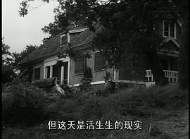 野草莓 图2