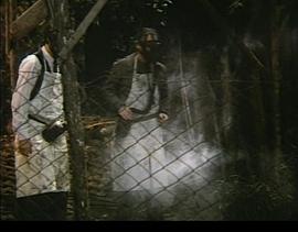 七個瘋男人 圖2