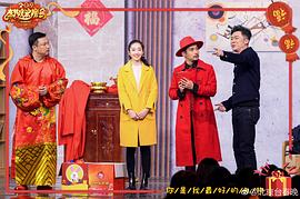 2019年北京卫视春节联欢晚会 图1