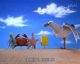 海绵宝宝第13季免费观看中文版 图1