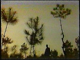 男兒有淚 圖2