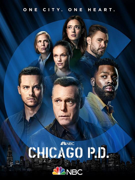 芝加哥警署第十季