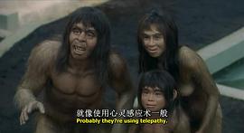 北京猿人进化过程 图7