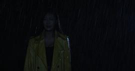 雨夜惊魂电影讲的是什么意思 图7