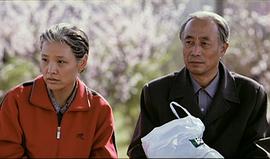 向日葵 圖6