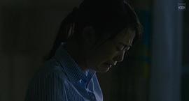 植物圖鑒 圖5