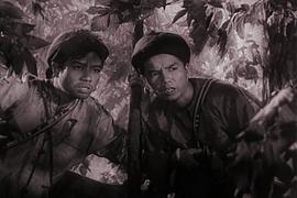 蘆笙戀歌 圖5