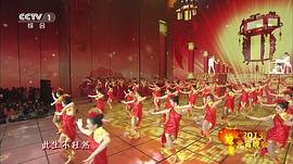 2013年中央電視臺(tái)元宵晚會(huì) 圖2