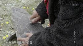 這里是新疆 圖5