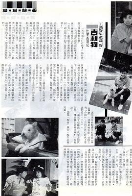 媽媽吉利小叮當(dāng) 圖6