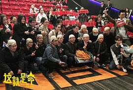 這就是命劇情詳細介紹 圖1