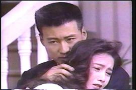 希望之鴿 圖6